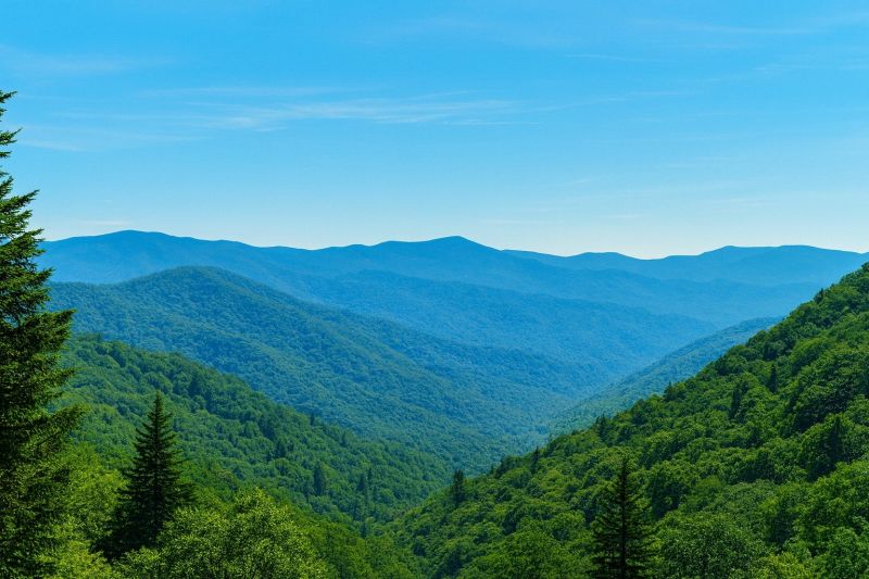 Best Bathroom Remodeling pros in Maggie Valley, NC